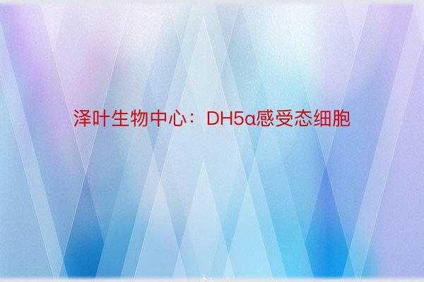 泽叶生物中心：DH5α感受态细胞